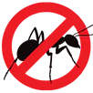 Ant Control Bundoora