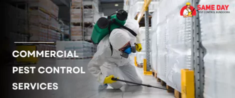 Commercial Pest Control Services
