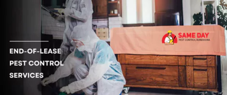 End-of-Lease Pest Control Services