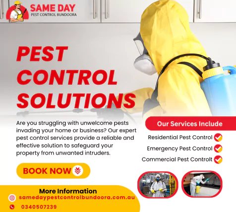 Pest Control Bundoora