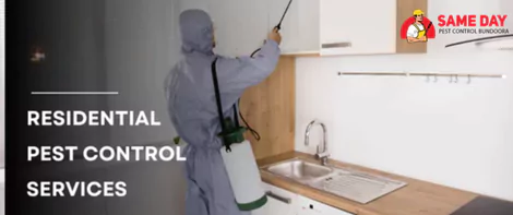 Residential Pest Control Services
