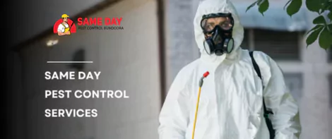 Same Day Pest Control Services